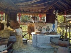 android_upload_pic-朱家角课植园