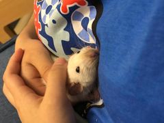 -雨林宠物医院 非犬猫异宠专科