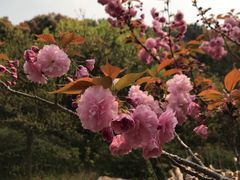 -龙寺生态园
