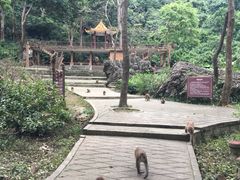 iphone_upload_pic-广西龙虎山风景区