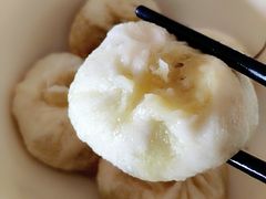 -舒小笼松针小笼包