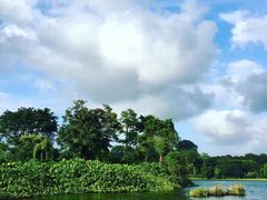 -河川生态园