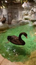 -Zoolung Zoolung动物主题公园(海信广场店)