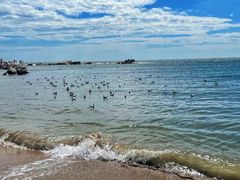 -老虎石海上公园