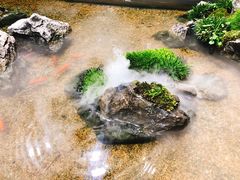 -森味薪火烧•烧鸟居酒屋•日本料理(望京店)