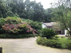-都江堰普照寺