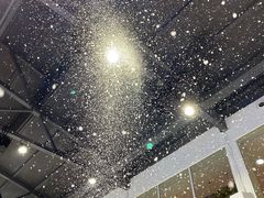 -Mr·Kuma酷么先生雪之乐园