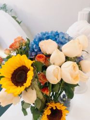 -VE专注问题肌·赛诺龙&科学美肤中心