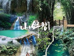 -南海湾森林生态园