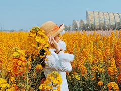 -中国天府农业博览园