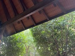 -天目湖涵田半山温泉