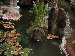 -大妙火锅·非物质文化遗产(东湖公园店)