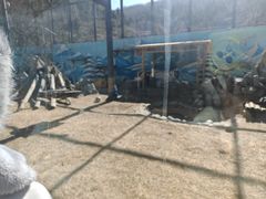 -青藏高原野生动物园