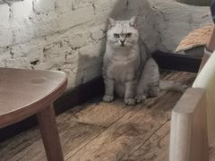-不舍昼夜咖啡馆