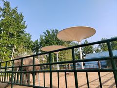 -秦皇岛野生动物园