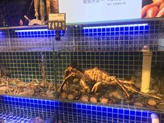-必点海鲜·鲅鱼水饺(鞍山西道店)