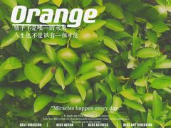 -茶颜悦色(平和堂负一楼店)