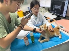 -达爱动物医院·犬猫分区·CT·复杂眼科(远洋山水分院)