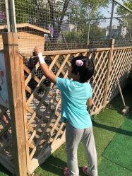 -萌宠亲子动物乐园(槐房万达店)