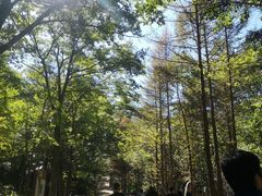 -洛阳白云山景区