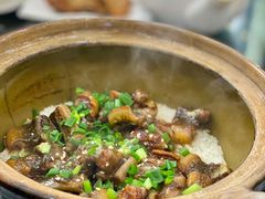 -红星光发煲仔饭(文海店)