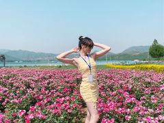 -君乐宝优致牧场