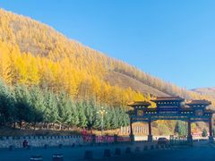 -塞罕坝国家级自然保护区