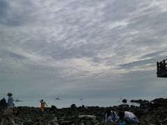 -养马岛旅游度假区