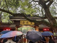 -浙江宾馆·花园餐厅·自助餐厅·茶吧