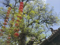 -胡氏古民居建筑