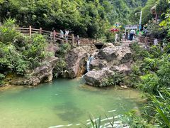 -南海湾森林生态园