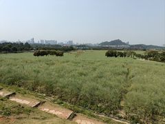 -光明小镇欢乐田园