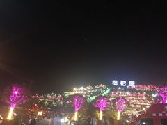 -枇杷园食为鲜火锅(南山店)
