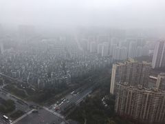-悦厅·下午茶(杭州柏悦酒店)