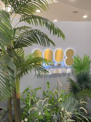 -八佰伴8008星级形象店