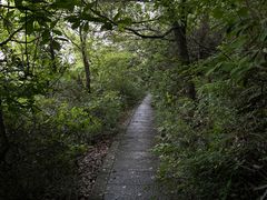-临平公园(临平街道)
