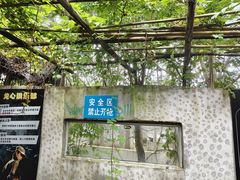 -东湖小天池真人CS彩弹野战基地