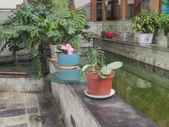 -燕北云山·农家菜·灶台鱼(密云溪翁庄店)
