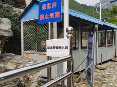 -大岭沟猕猴桃谷风景区