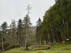 -硗碛藏寨·神木垒景区