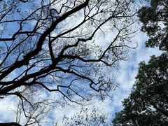 -楠溪江风景名胜区