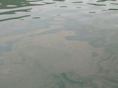 -石燕湖生态旅游景区