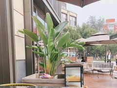 -The Rug Cafe(王府中环店)