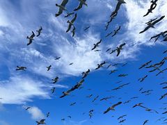 -海驴岛(荣成市)