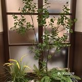 长沙菜还得这么吃，玩出新花样㊙️