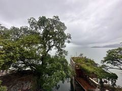 -南诏风情岛