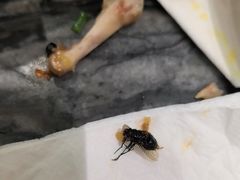 -情妹耙泥鳅·江湖川菜(科华店)