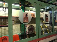 景点-猫咪博物馆(顶澳仔猫街店)