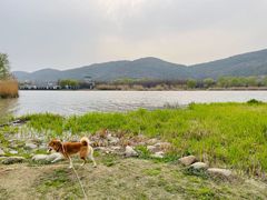-长广溪湿地公园