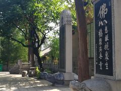 -兴教寺